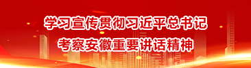 学习宣传贯彻习近平总书记考察安徽重要讲话精神