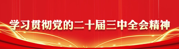 学习贯彻党的二十届三中全会精神