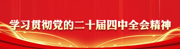 学习贯彻党的二十届四中全会精神