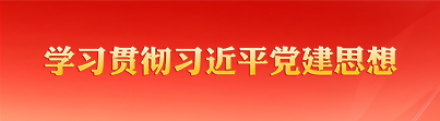 学习贯彻习近平党建思想